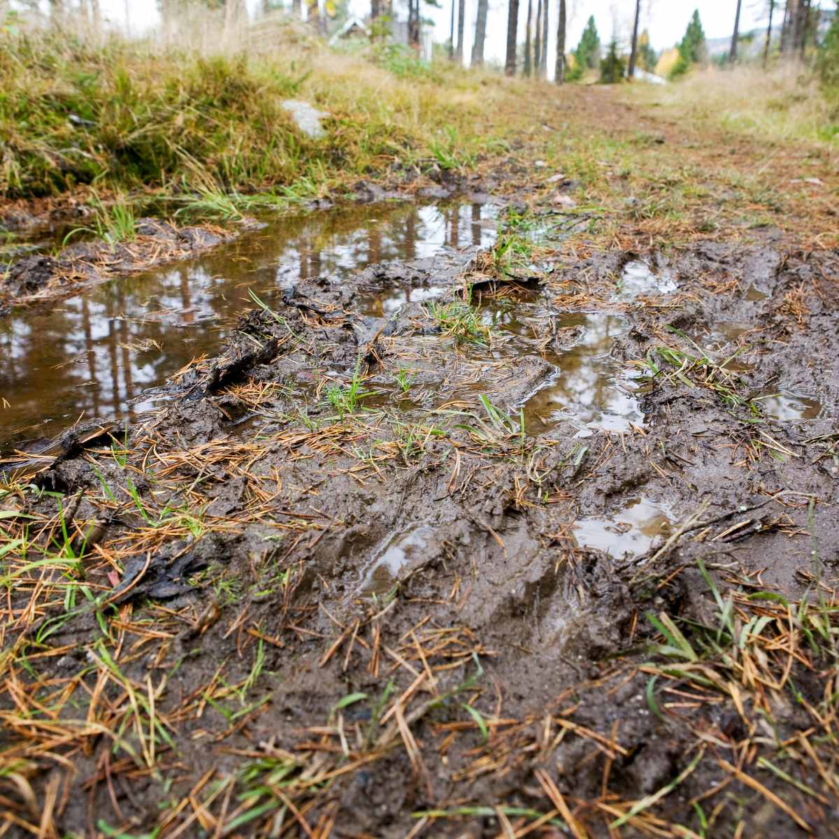 <p>waterlogged</p>