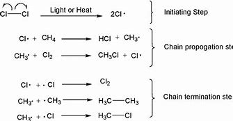 - This is the process in which radicals are perpetually created making this a chain reaction ( it cannot be stopped and 1 reaction leads to another).
- One of the products will become 1 of the reactants.

e.g. Methane + Chlorine radical \= CH3 radical + HCL
CH3 radical + Cl2 \= Ch3Cl + Cl radical
Ch3Cl + Cl radical \= HCL + CH2Cl radical etc.
