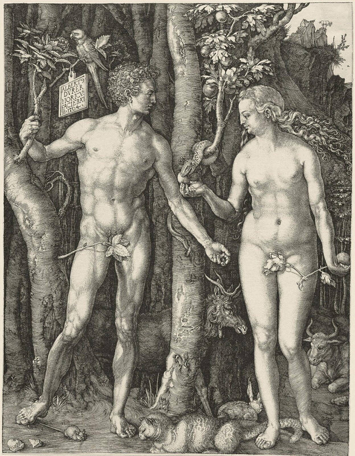 term image