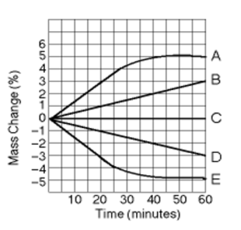 <p>What tonicity is line C?</p>