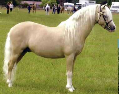 <p>What is this color registry?</p>