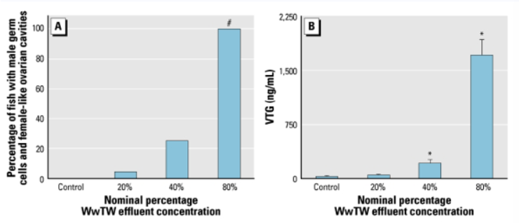 <p><span style="line-height: 20.925px;">A. percentage of fish with male germ cells that had femalelike ovarian cavities (i.e., feminized males) in each treatment group </span></p><p class="Paragraph SCXW49047344 BCX0" style="text-align: left;"><span style="line-height: 20.925px;">B. mean whole-body VTG concentrations (n=3-; mixed sex) for all treatment groups. Error bars are SEM. Significantly different from control: P< 0.05, #p<0.001 </span></p>