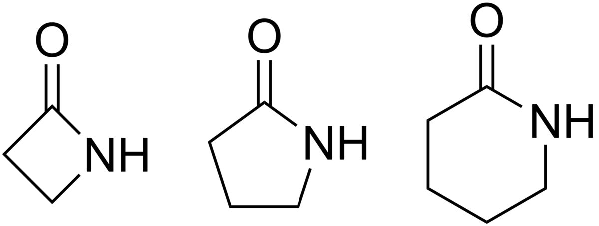 <p>= cyclisch amide</p>