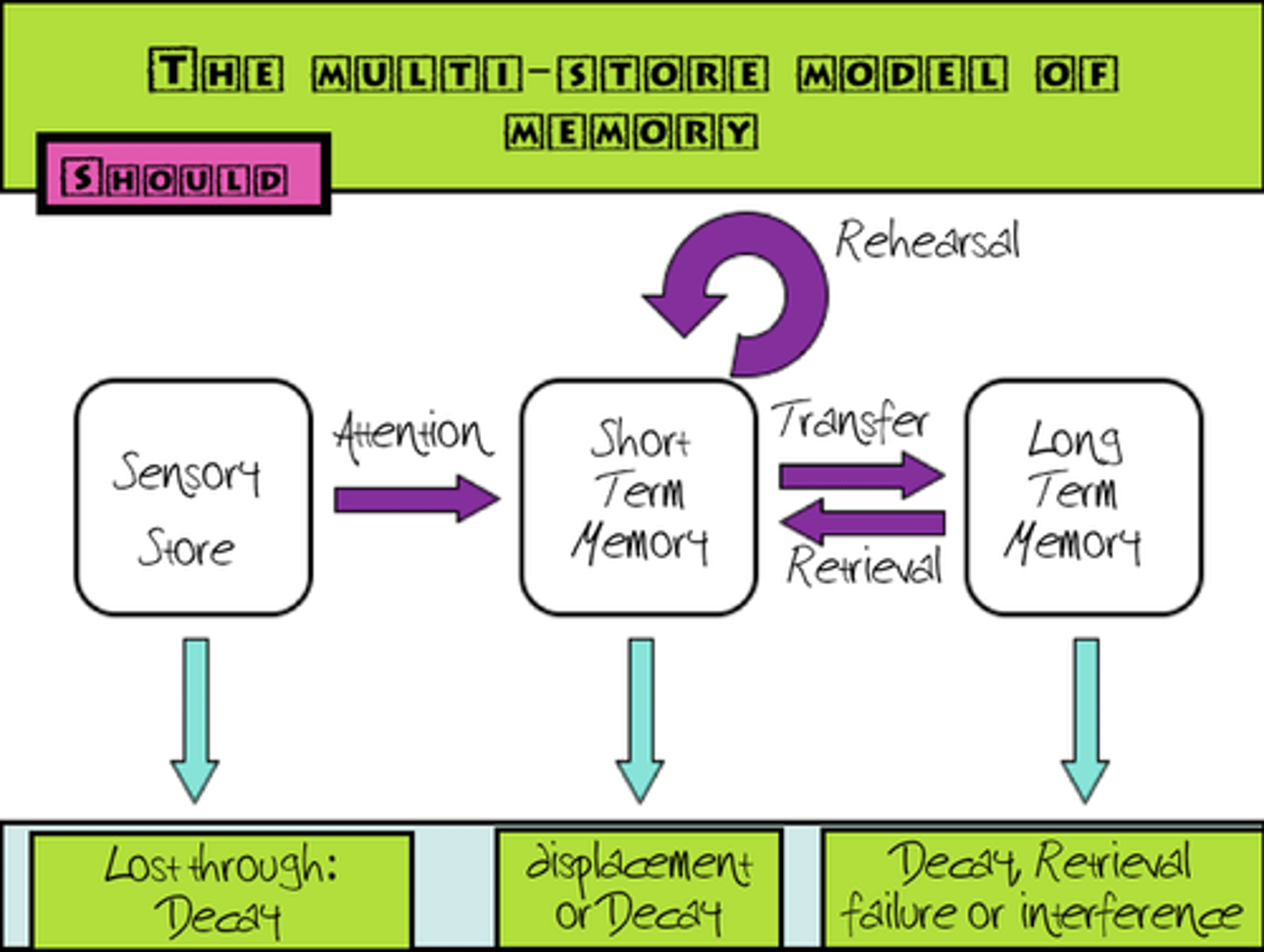 <p>so it goes from sensory register to short term memory by attention and sensory register includes decay.</p>