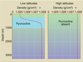 <ul><li><p>Layer of ocean  with rapid change in density with depth </p></li><li><p>Strong in low latitudes, nonexistent in high </p></li></ul><p></p>