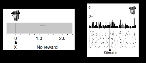 <p>Test phase X. Does the Monkey respond to X cue?</p>