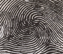 <p>any 2 loops combined to one</p>