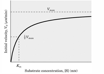 <p>jaki to wykres</p>