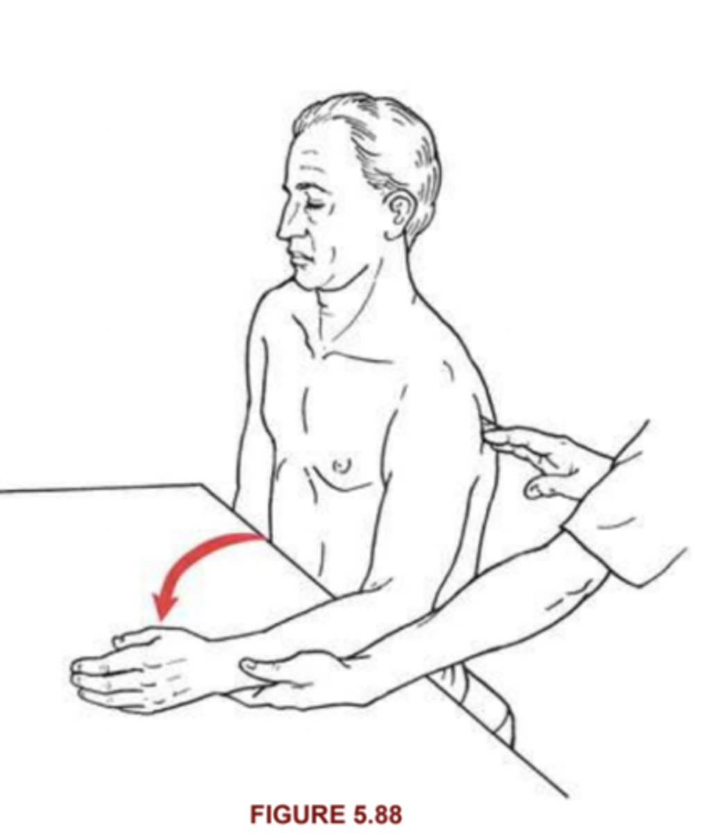 <p>Infraspinatus, teres minor, (supraspinatus, deltoid posterior)</p><p>Position: sitting, elbow flexed to 90, forearm in neutral, supported on table with friction minimized</p><p>2/5: completes rom in gravity eliminated position</p><p>1/5: palpation of either/both muscles show contraction</p><p>0/5: no palpable contraction</p>