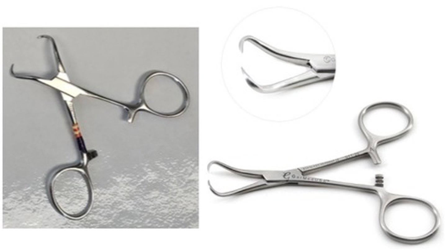 <p>Name this instrument. Spelling counts.</p>