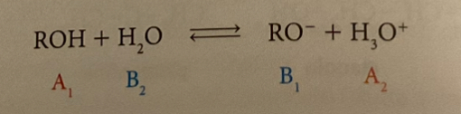 <p>perchè gli alcoli sono composti anfoteri?</p>
