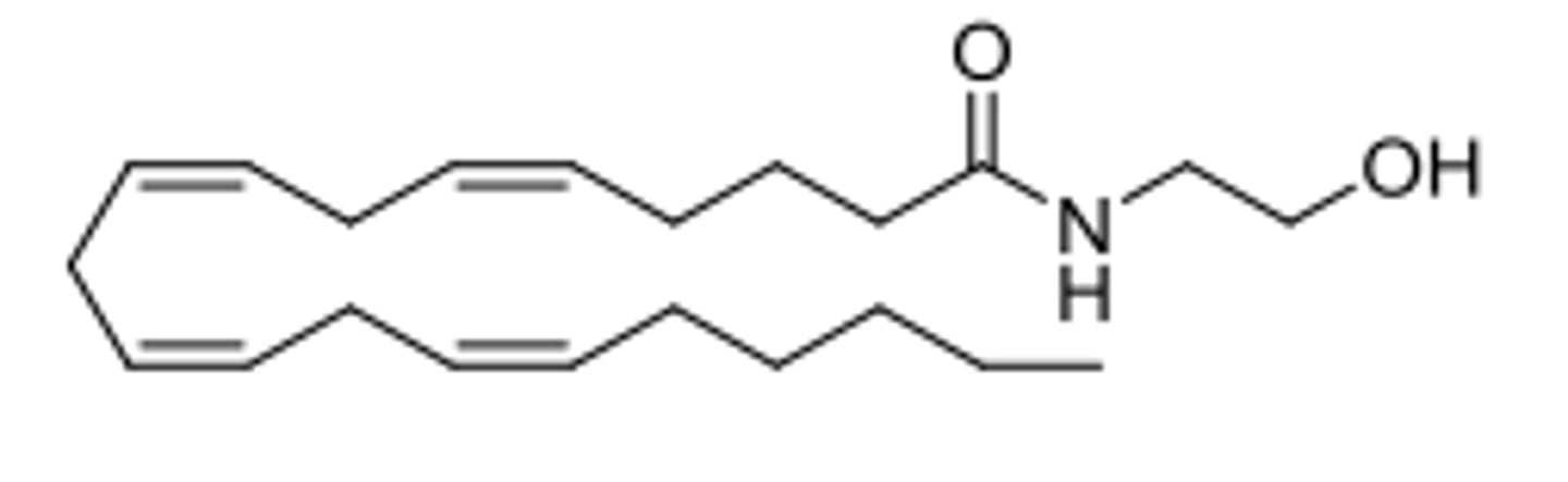 <p>what is this structure</p>