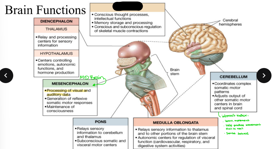 <p>What part is blacked out?</p>