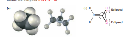 <p>Cyclopropane is the most strained of all rings, primarily because of the angle strain caused by its 60° C - C- C bond angles. In addition, cyclopropane has considerable torsional strain because the C -H bonds on neighboring carbon atoms are eclipsed.</p>