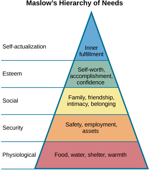 <p>proposed a <span>hierarchy of human needs in motivating behavior</span></p>