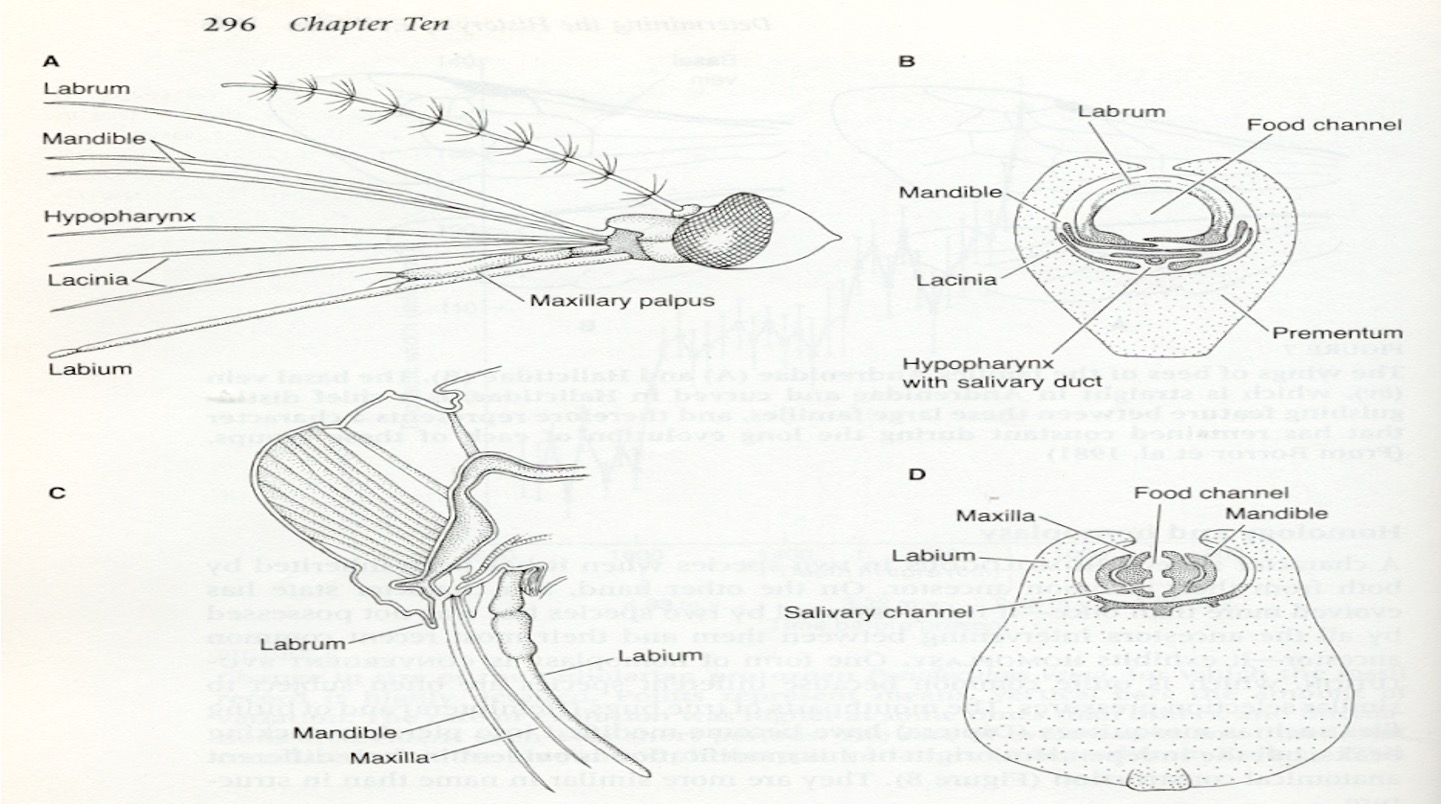 <p>What is this?</p>