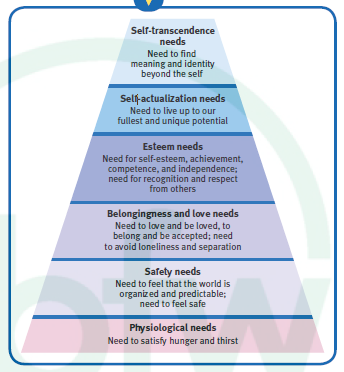 <p>Maslow states that you <strong>must reach the needs at the bottom, in order to achieve the needs at the top</strong>. But this is <strong>not always necessarily true.</strong></p>