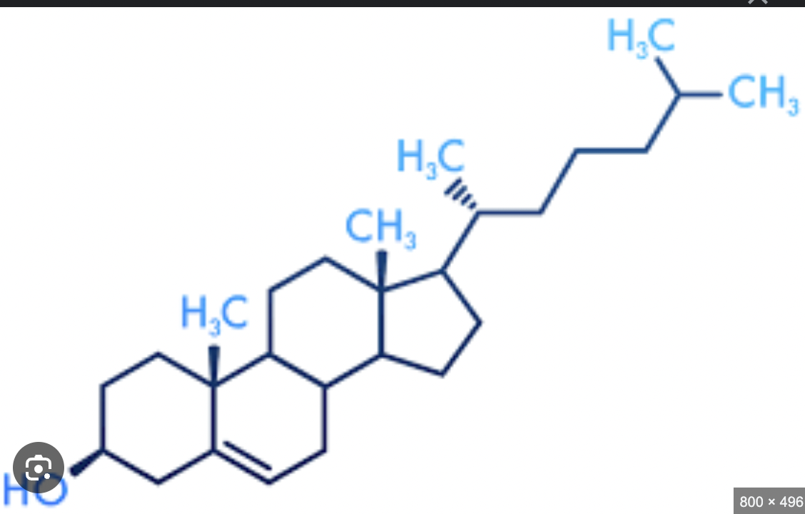 <p>What macromolecule?</p>