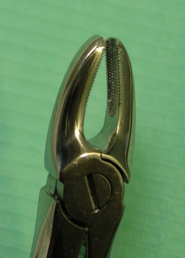 <p>Straight elevator/luxator</p><p class="has-focus">Upper incisive forceps</p>