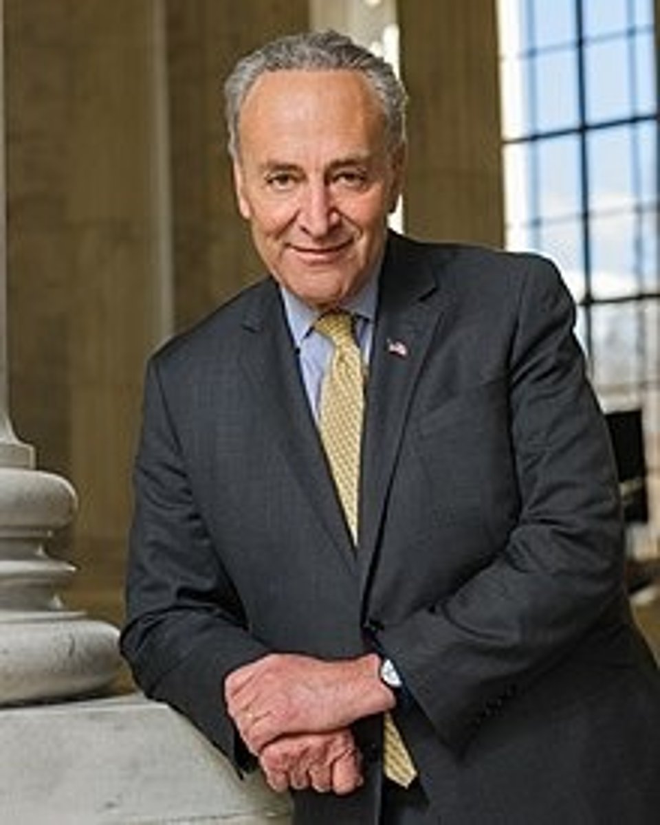 <p>Senate Minority Leader; Chair of the Senate Democratic Caucus</p>