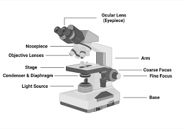 <p>Microscope that uses light to view specimens, with magnification levels of 400-1500x.</p>