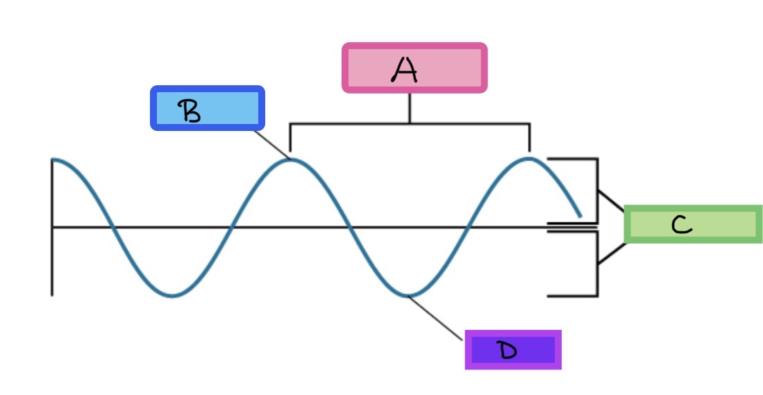 <p>Label the figure </p>