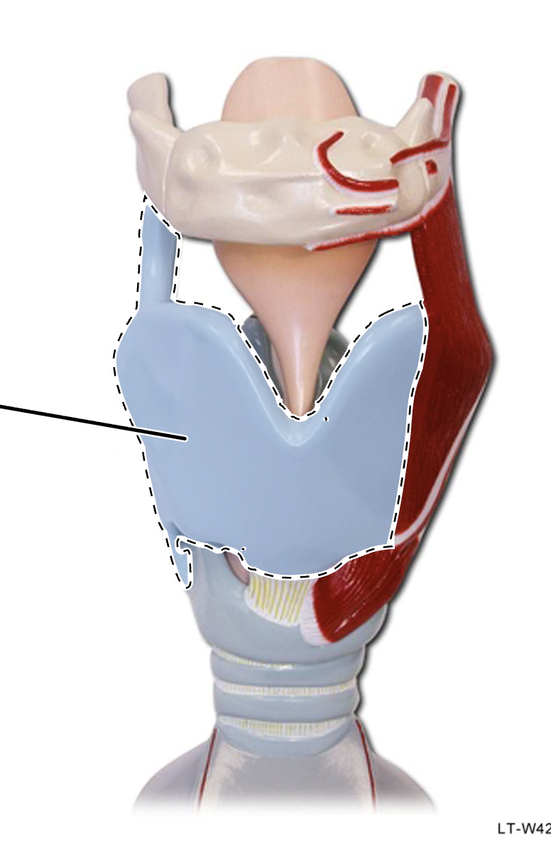 <p>What is this?</p>