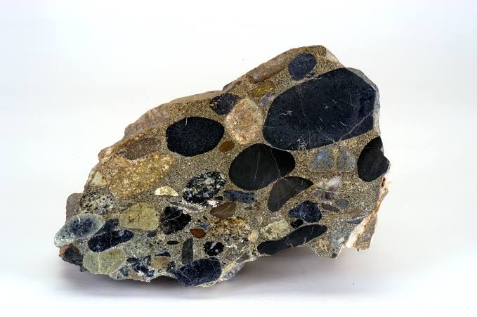<p>Identify the metamorphic rock</p>