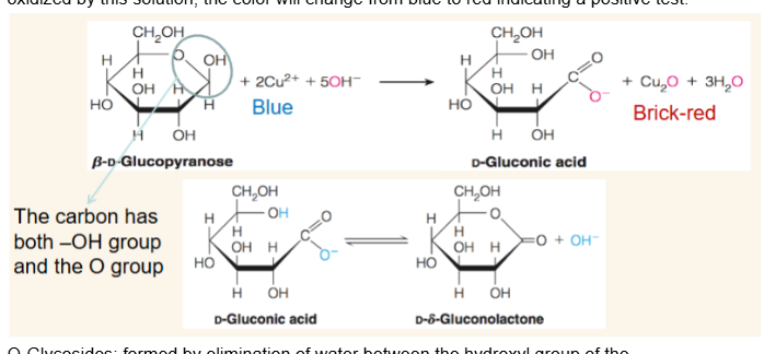 <p>The solution of Cu(II) (Fehling’s/Benedict’s/Tollen’s) may be used as an analytical test for reducing sugars. If the sugar’s reducing end is oxidized by this solution, the color will change from blue to red indicating a positive test.</p>