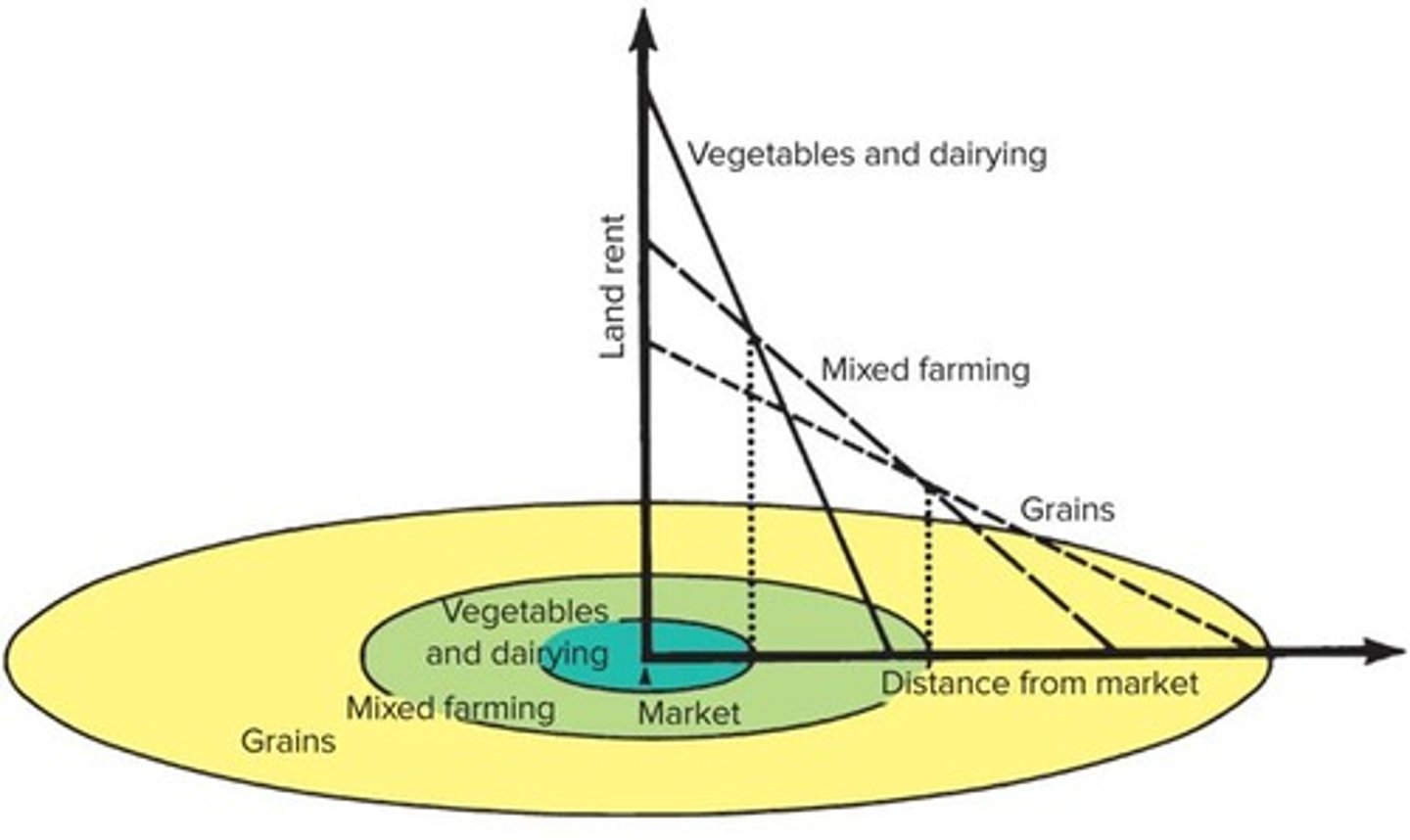 <p>A model analyzing human activity patterns based on distance to a market town and land use intensity.</p>