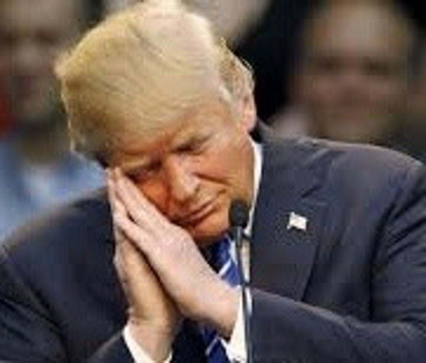 <p>The President</p>