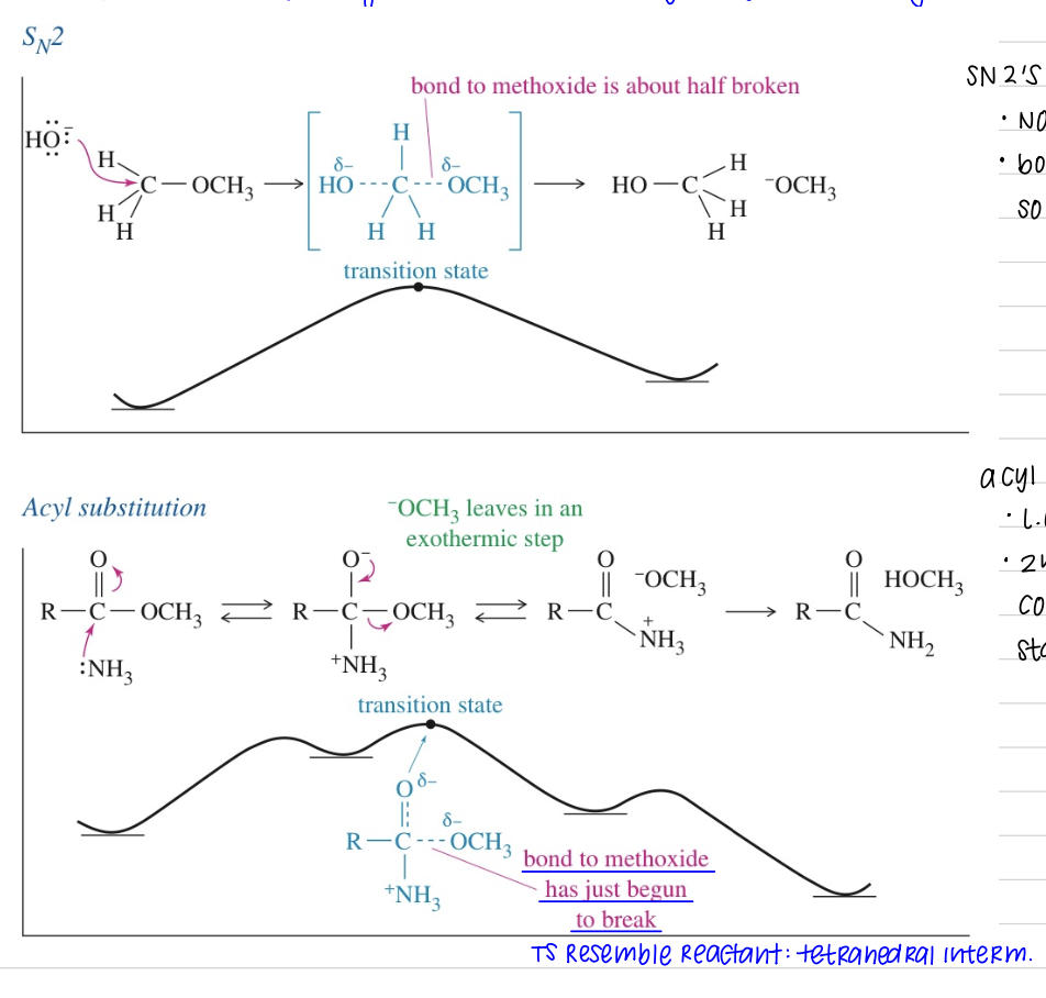 <ul><li><p>Diff in mech: SB may serve as L.G. in acyl subs even though it cannot in alkyl subs</p></li></ul><p><mark data-color="#ffc8f7" style="background-color: #ffc8f7; color: inherit">SN2’s 1 step mech)</mark></p><ul><li><p>Not strongly endo/exo</p></li><li><p><span style="color: blue">Bond of L.G. ½ broken in the TS so rxn is sensitive to nature of L.G.</span></p></li></ul><p><mark data-color="#ffc8f7" style="background-color: #ffc8f7; color: inherit">Acyl Subs)</mark></p><ul><li><p>L.G. leaves in separate 2nd step after tetrahedral interm</p></li><li><p>2nd step is highly exo: converting tetra int. → more stable MC</p></li><li><p><span style="color: blue">bond to methoxide just begun to break</span></p></li></ul><p></p>