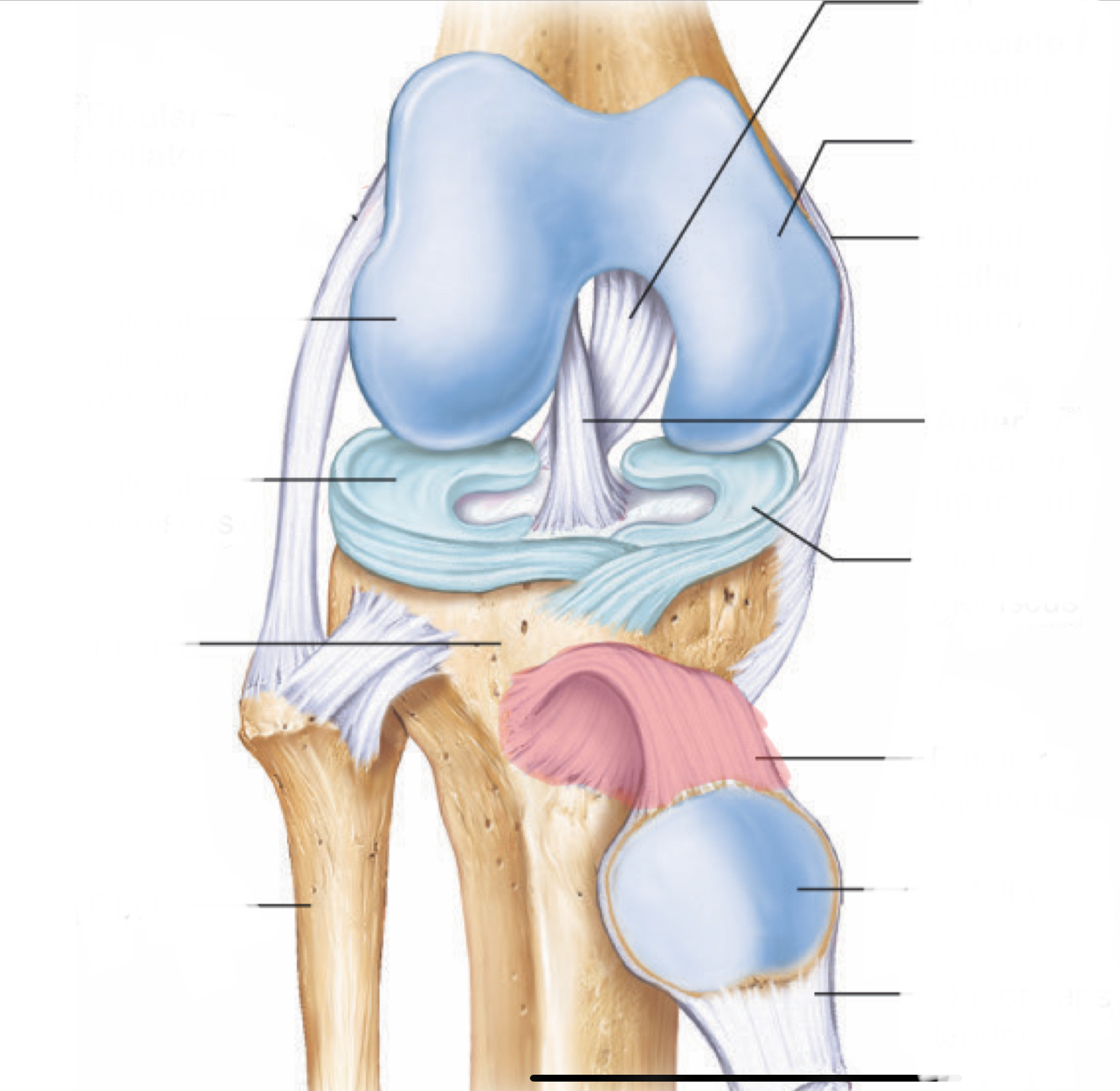 <p>*movement + prevention</p>