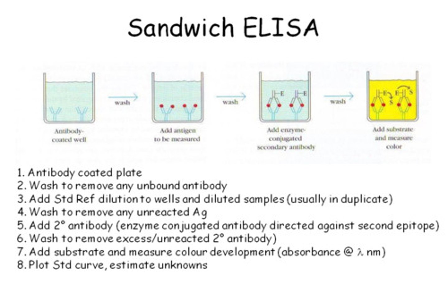 <p>Antigens of B. burgdorferi</p>