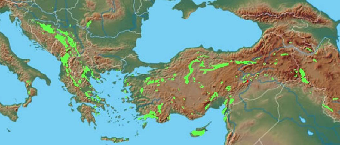 <p>important source of metals like copper</p><ul><li><p>cyprus ophiolite</p><ul><li><p>major source of copper in the ancient world</p><ul><li><p>first mined over 5000 years ago</p></li><li><p>finally extinguished major deposits in 1972</p></li></ul></li><li><p>also contained many sulfur rich minerals</p></li></ul></li></ul><p></p>