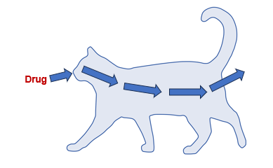 <p>What does ADME stand for? </p>