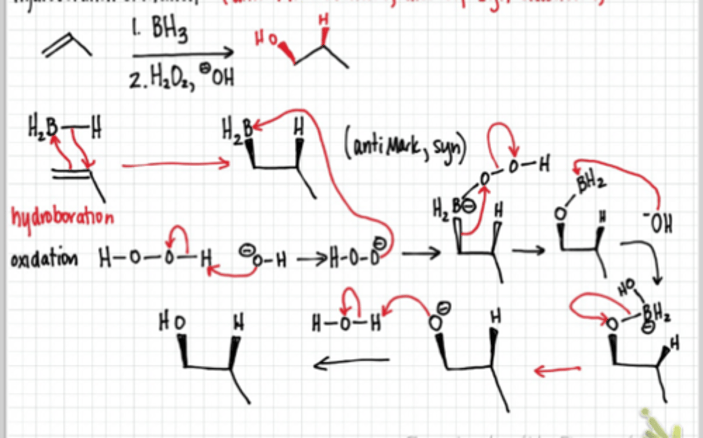 knowt flashcard image