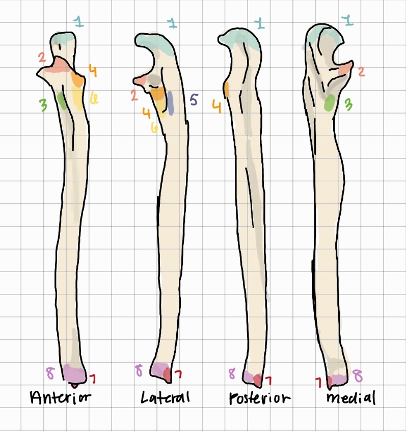 <p>1</p>