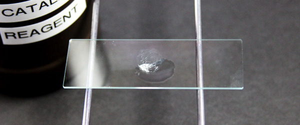 <p><span><span>The catalase test is used to classify bacteria based on the presence or absence of catalase enzyme in an unknown organism. Here are the results of your catalase test. What can you conclude?</span></span></p>