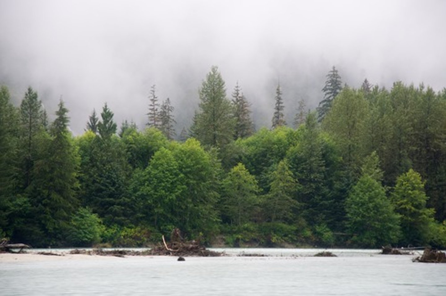 <p>this climate would have more physical weathering (ice wedging)</p>