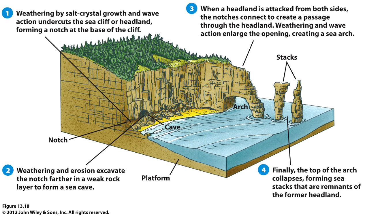 een rots klif gevormd en onderhouden door verwering en erosie van golven die breken. 