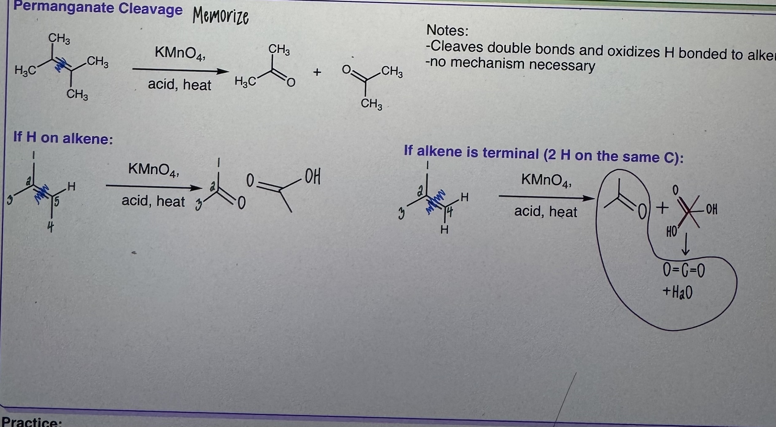 <p>Permanganate Cleavage</p>