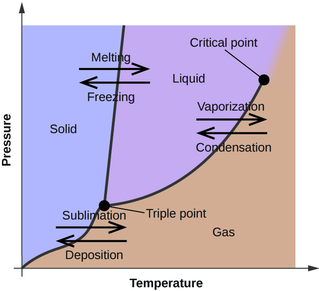 <p>supercritical: liquid and vapor do not differentiate past critical point</p><p>triple point: all 3 phases coexist in equilibrium</p><p>melting line shows whether a substance expands or contracts with freezing (moves left = expands, moves right = contracts)</p>