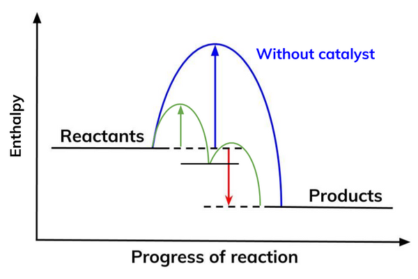 <ul><li><p>it offers an alternative pathway with lower activation energy</p></li><li><p>therefore, a greater proportion of molecules will have the energy greater than the activation energy</p></li><li><p>so, there will be more successful collisions</p></li></ul><p></p>