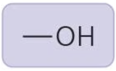 <p>polar, forms hydrogen bonds; "alcohol"</p>