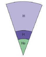 * Helium collects in the core of the star surrounded by hydrogen 
* Only hydrogen in the inner shell undergoes nuclear fusion to helium  