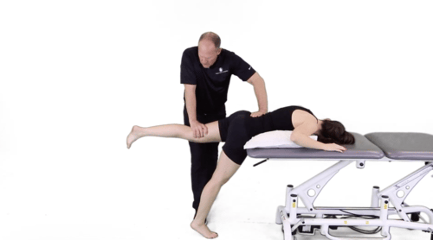 <p>Which assessment is this? Which muscles are involved? Gravity vs. gravity-eliminated?</p>
