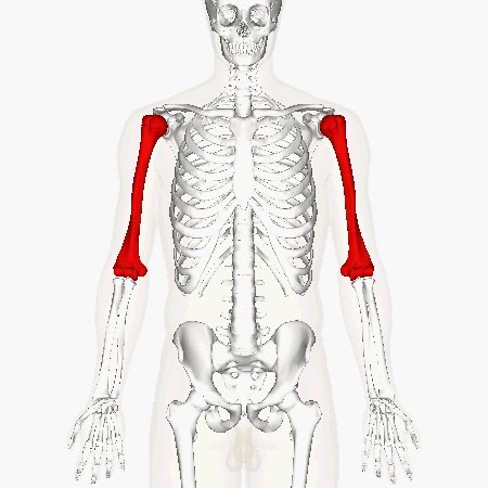 <p>Wat is hier aangeduid</p>