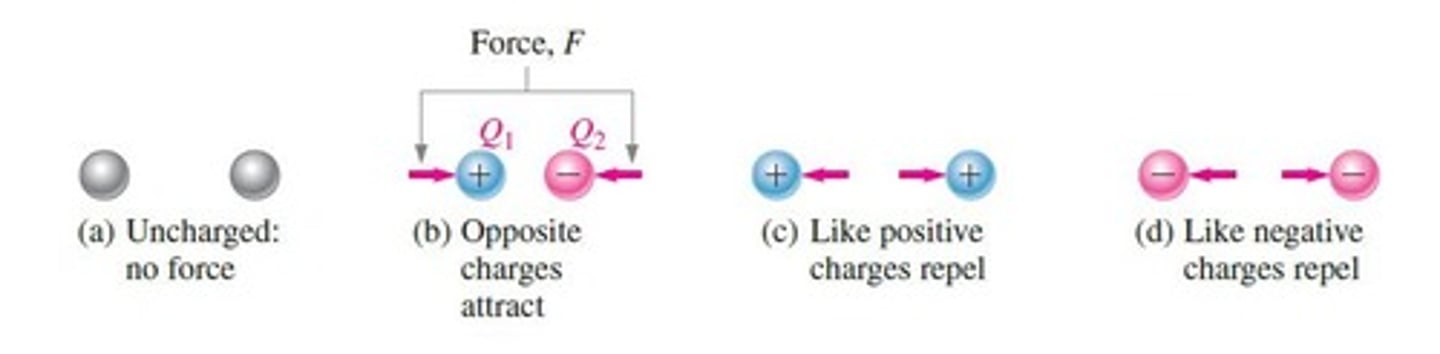 <p>There is a force (F) between electrical charges; like charges repel, and unlike charges attract.</p>