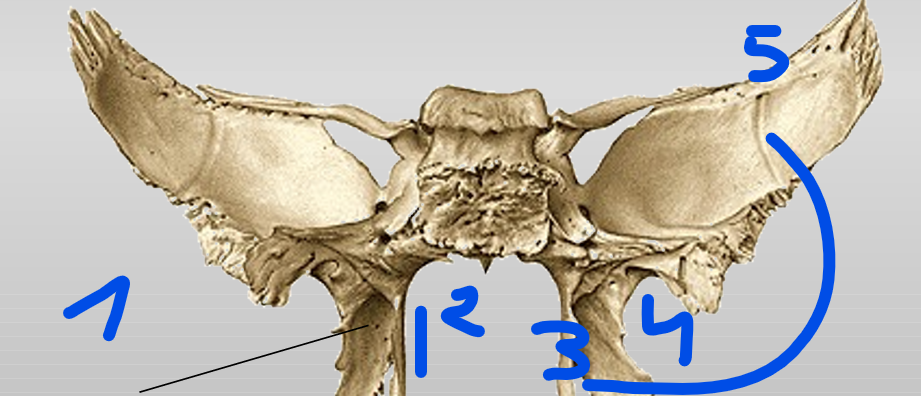<p>4</p>